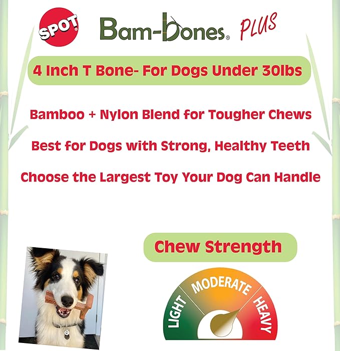 SPOT Bam-Bones Plus T Bone – Bamboo Fiber & Nylon Dog Chew Toy - Image 2