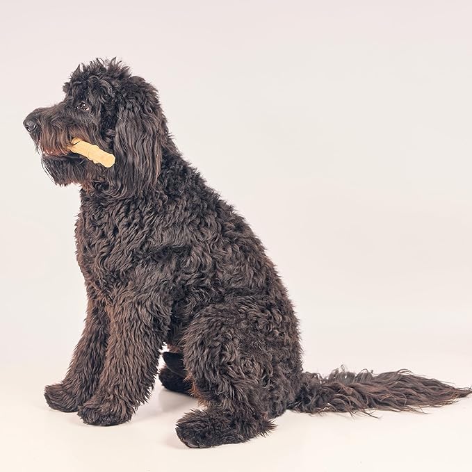SPOT Bam-Bones Plus Bamboo Stick - Image 10