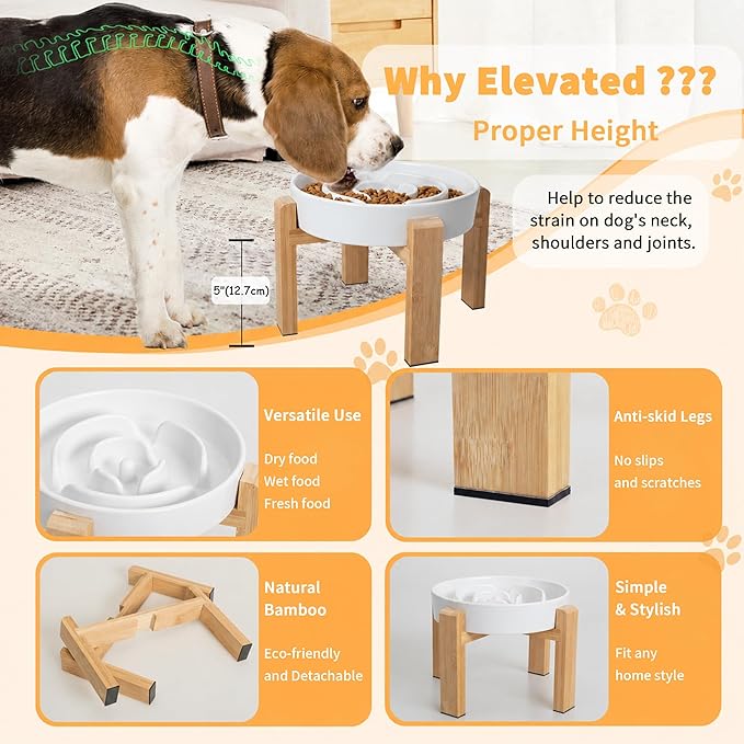 Elevated Slow Feeder Dog Bowl - Image 3