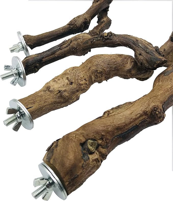 2 PCS Natural Grape Stick Fork Bird Perch Bird Standing Stick Chewing Bird Toys - Image 5
