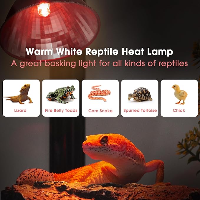 Briignite Reptile Heat Lamp Red, 50W G9 Heat Bulb & Dome Reptile Light Fixture - Image 2