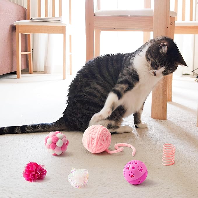MALLMALL6 10Pcs Cat Toy Set Interactive Cat Toys Pack Including Feather Teaser - Image 5