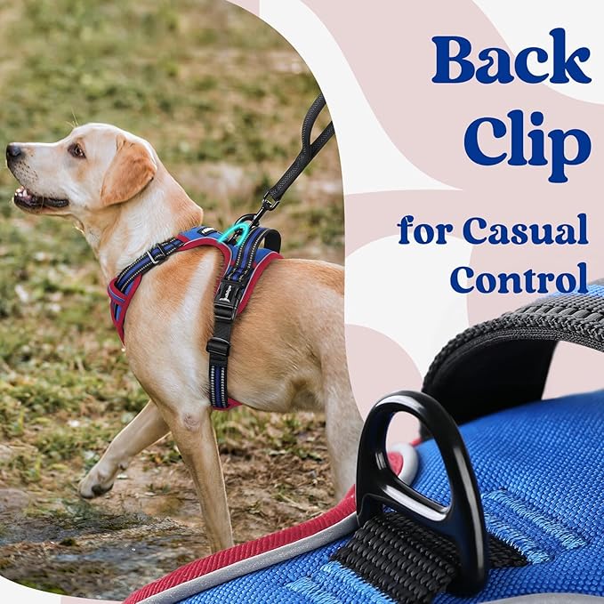 rabbitgoo Dog Harness Medium Sized, No Pull Easy On & Off - Image 5
