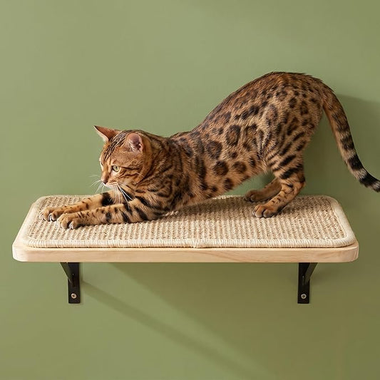Cat Floating Wall Shelf with Scratching Mat, Support to 30 LBS by PELUOMOZ