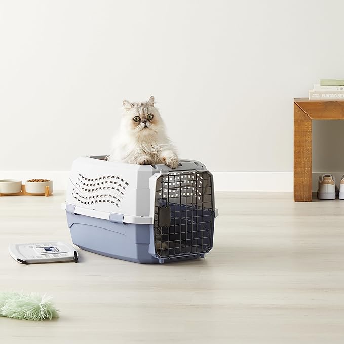 Amazon Basics Sturdy Portable 2-Door Top-Load Hard-Sided Pet Travel Carrier - Image 9