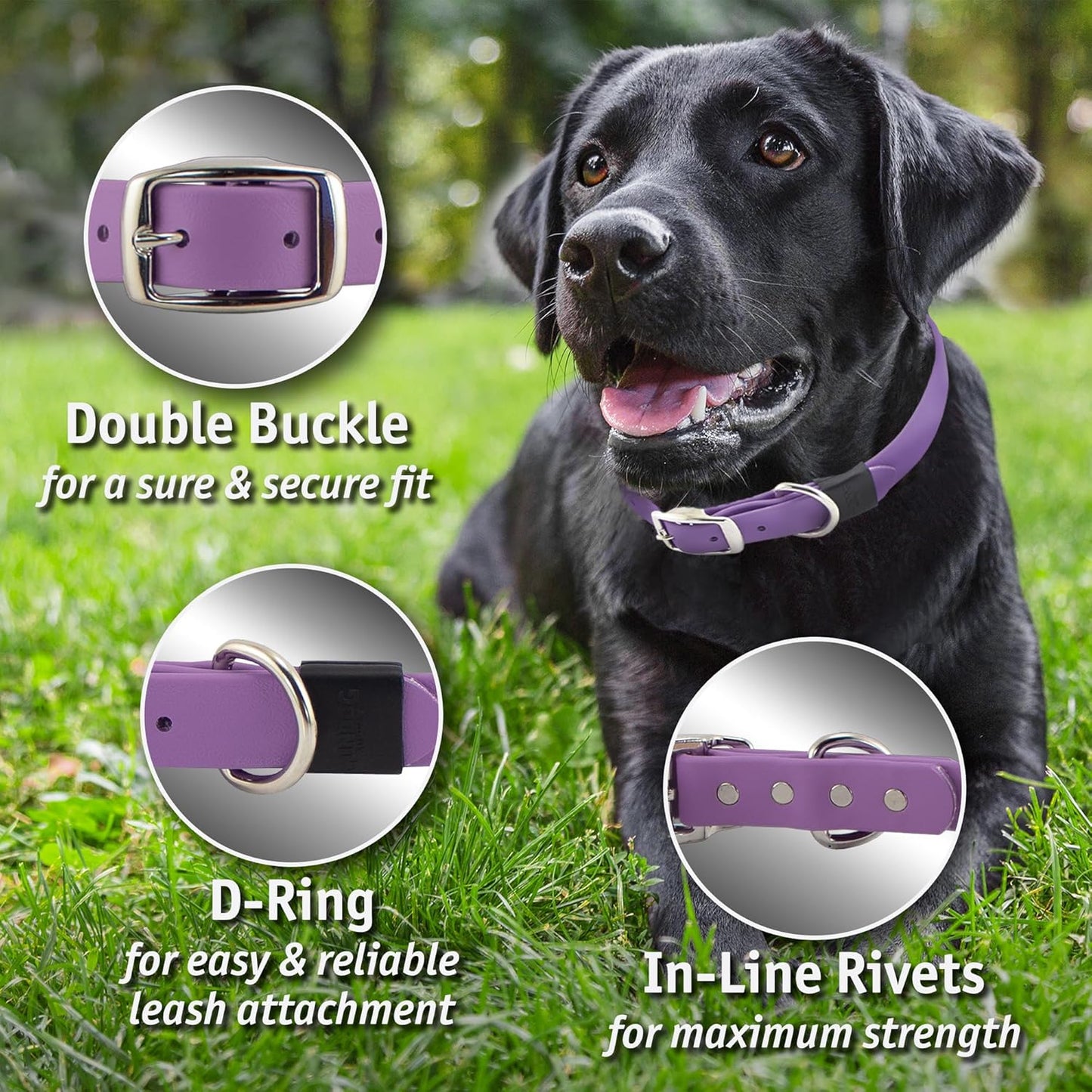 Biothane Custom Dog Collar – Waterproof, Stink-Proof Personalized Collar with Name & Phone Number – Durable, Many Sizes and Colors – Assembled in USA (Forest Green)