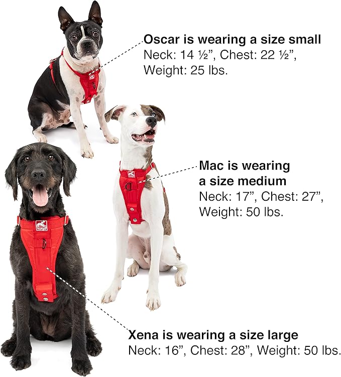 Kurgo Enhanced Strength Tru-Fit Dog Car Harness - Image 5