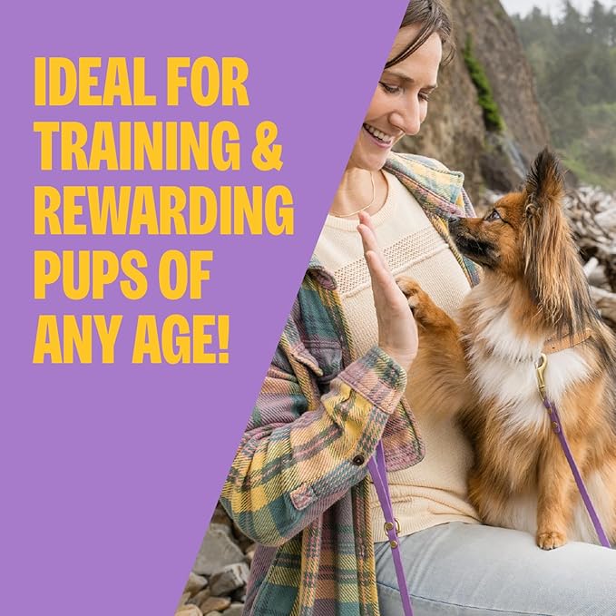 Wellness Soft Puppy Bites Dog Training Treats, Grain Free, Lamb and Salmon - Image 2