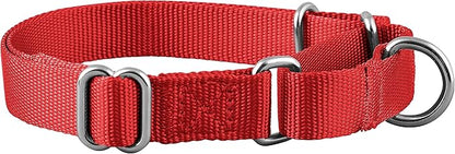 Native Pup Martingale Dog Collar, Adjustable - Image 2