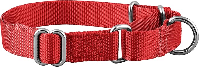 Native Pup Martingale Dog Collar, Adjustable - Image 2