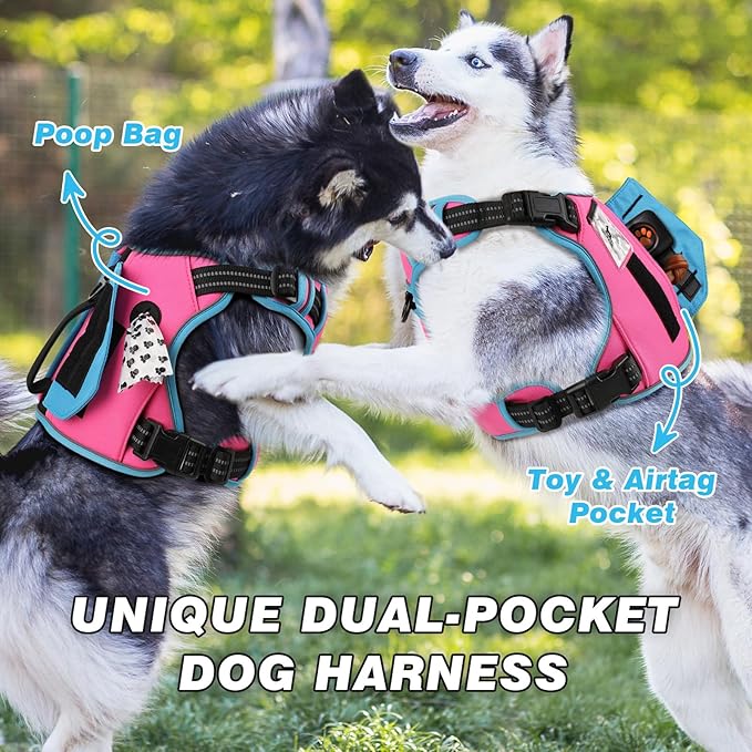 WINGOIN Tactical Dog Harness for Small Dogs, No Pull Harness - Image 2
