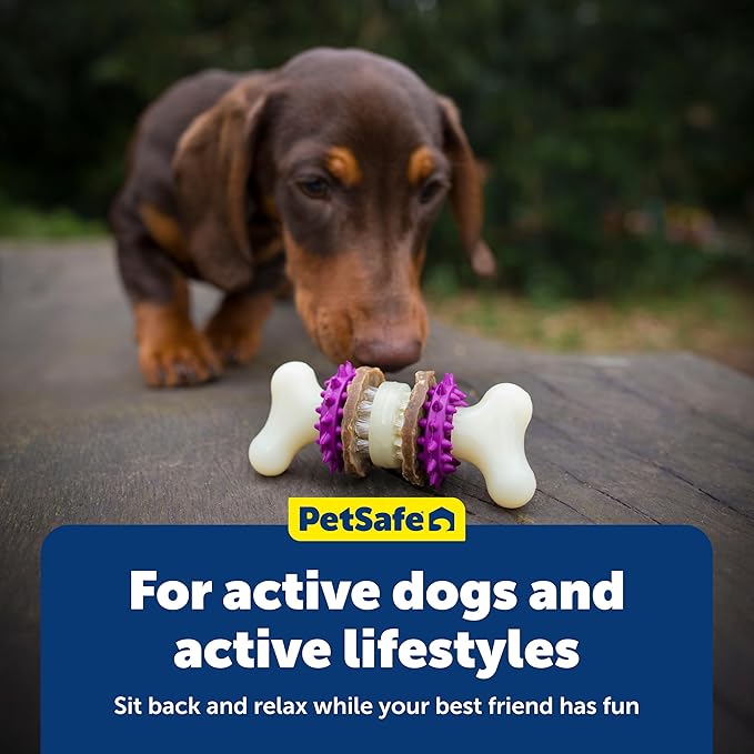 PetSafe Busy Buddy Bristle Bone Dog Chew Toy - Image 6