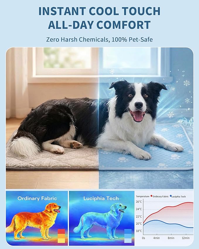 BWX Cooling Mat for Dogs - Image 2