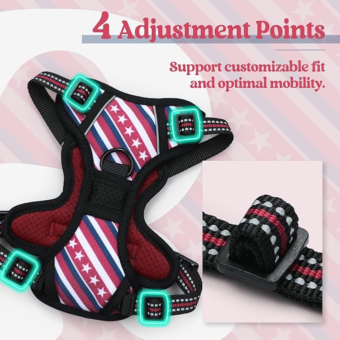 rabbitgoo Dog Harness No Pull - Image 4