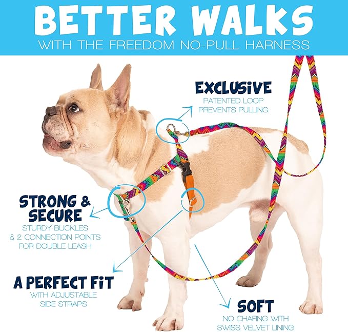 2 Hounds Design Freedom No Pull Dog Harness, Adjustable Harness, Easy Walking & - Image 2