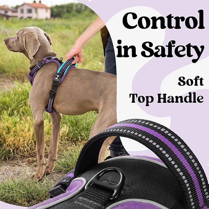 rabbitgoo Dog Harness Small Sized, No Pull Easy On & Off - Image 4