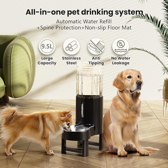CZPET Elevated Dog Water Bowl Dispenser - Image 2