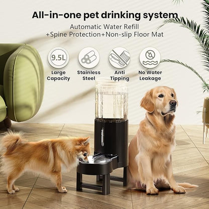 CZPET Elevated Dog Water Bowl Dispenser - Image 2
