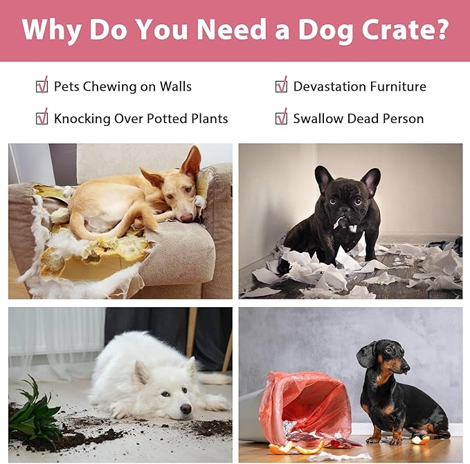 30 Inch Dog Crate, Puppy Crates - Image 2