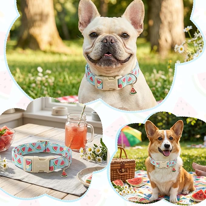 Summer Dog Collar, Cute Light Blue Puppy Collar - Image 6