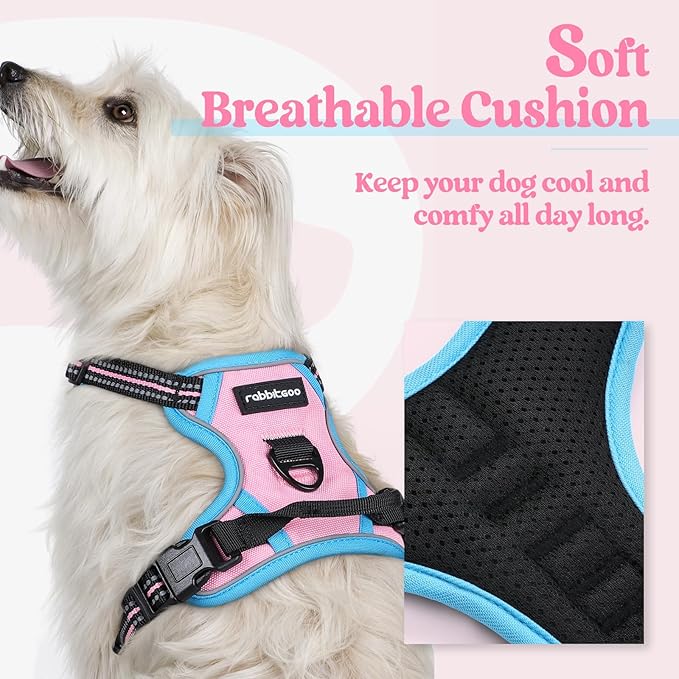 rabbitgoo Dog Harness No Pull - Image 2