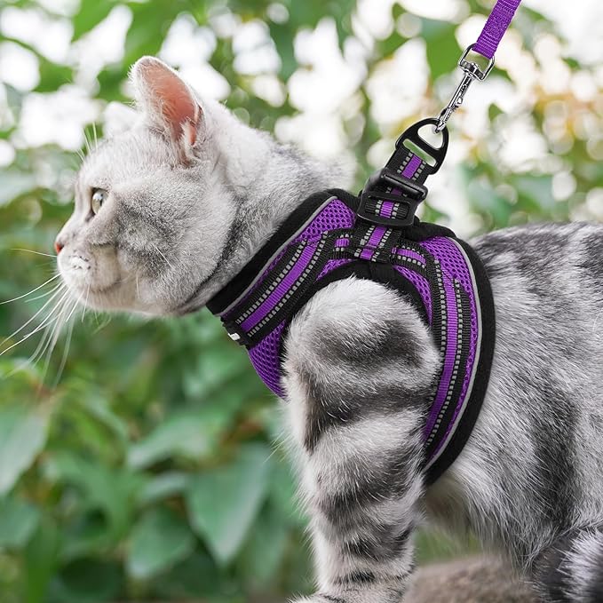 rabbitgoo Cat Harness and Leash, Step-in Escape Proof Kitten Harness Set - Image 9