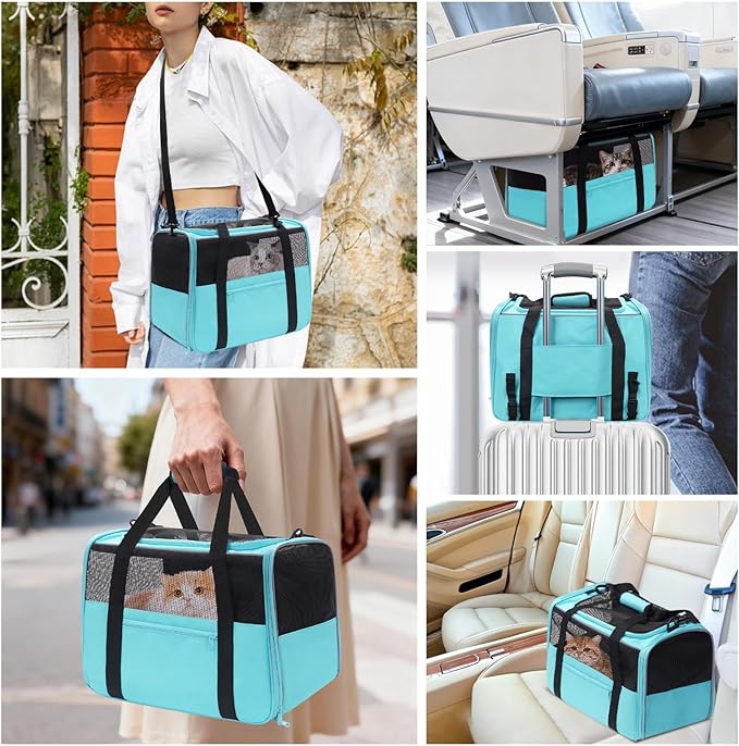 JUNGYOUN Premium ​Cat Carrier - Image 3