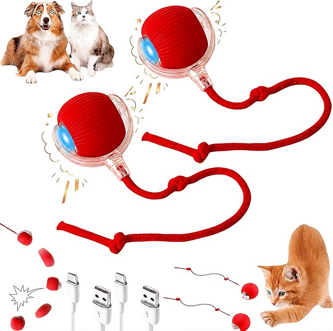 2026 New 2Pack Cat Ball Kitten Toys by Unknown