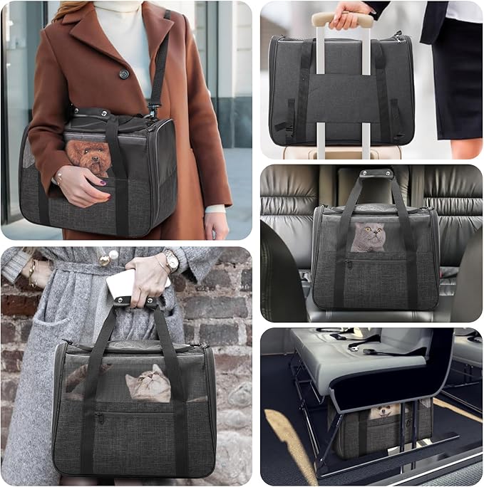 JUNGYOUN Premium ​Cat Carrier - Image 3
