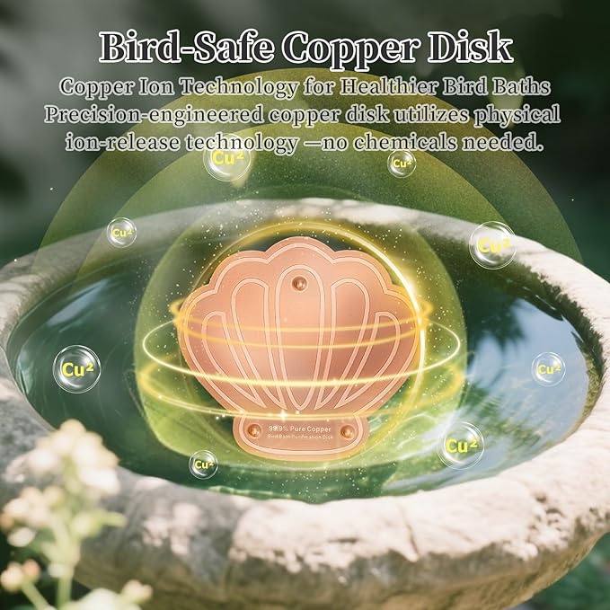 Bird Bath Copper Disk - Image 3
