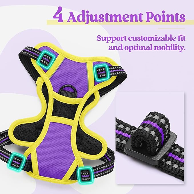 rabbitgoo Dog Harness No Pull - Image 4