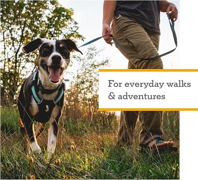 Ruffwear, Hi & Light, Everyday Lightweight Dog Harness, Trail Running, All-Day - Image 6