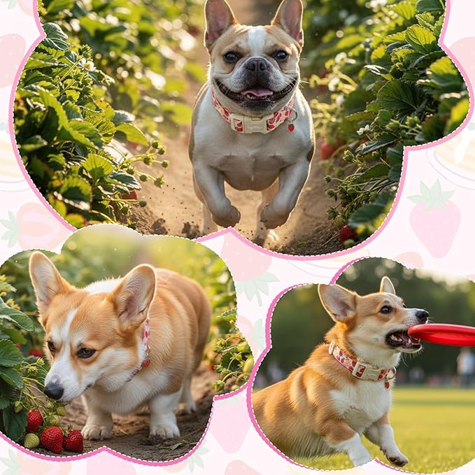Dog Collar with Strawberry Patterns, Spring Summer Collection Pink Dog Collar - Image 5