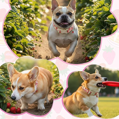 Dog Collar with Strawberry Patterns, Spring Summer Collection Pink Dog Collar - Image 5