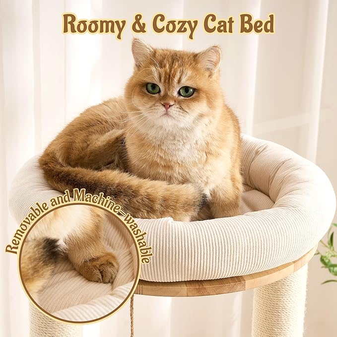 Modern Solid Wood Cat Tree for Indoor Cats Up to 15lbs, Large Cat Bed, Capsule - Image 4