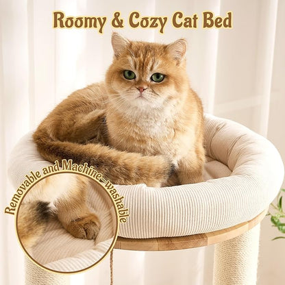 Modern Solid Wood Cat Tree for Indoor Cats Up to 15lbs, Large Cat Bed, Capsule - Image 4