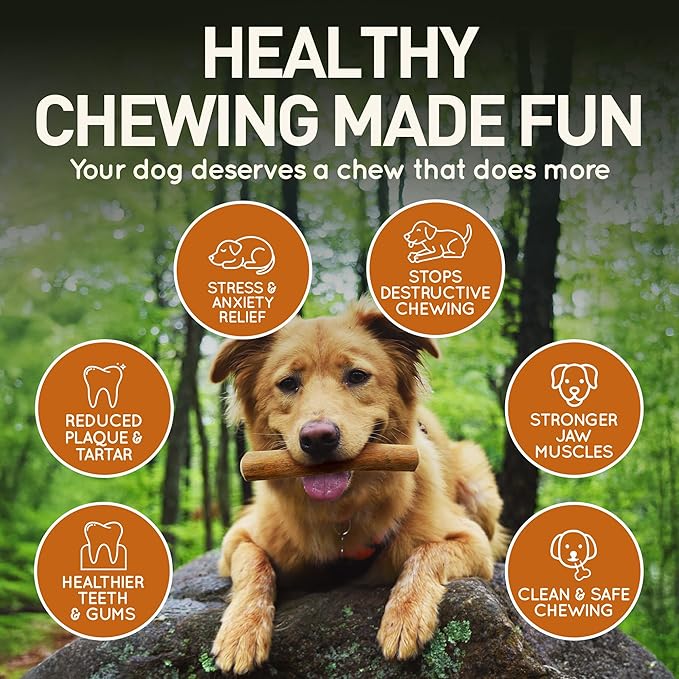 Wildfang® Coffee Wood Dog Chew, XS – Tough Chew Toys - Image 5