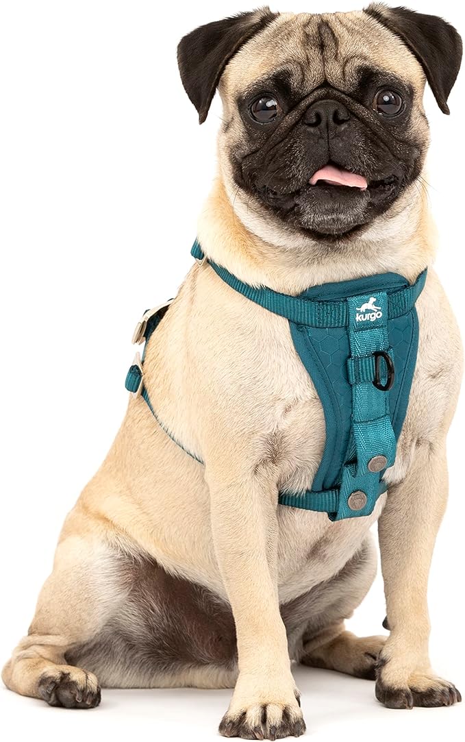 Kurgo Enhanced Strength Tru-Fit Dog Car Harness by Kurgo