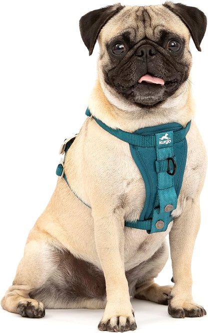 Kurgo Enhanced Strength Tru-Fit Dog Car Harness by Kurgo
