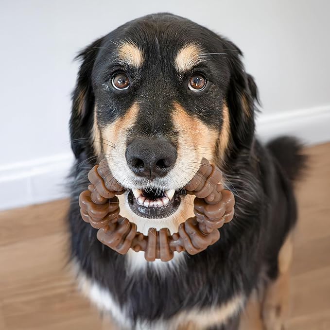 Nylabone Strong Chew Textured Ring Dog Toy Made - Image 5