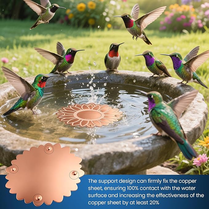 Copper Bird Bath Purification Disk, Outdoor Bird Bowls All-Season - Image 2
