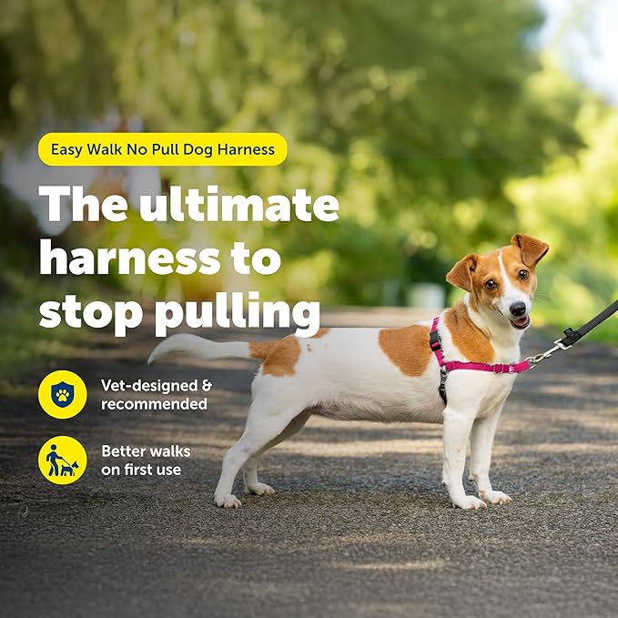 PetSafe Easy Walk No-Pull Dog Harness - Image 2