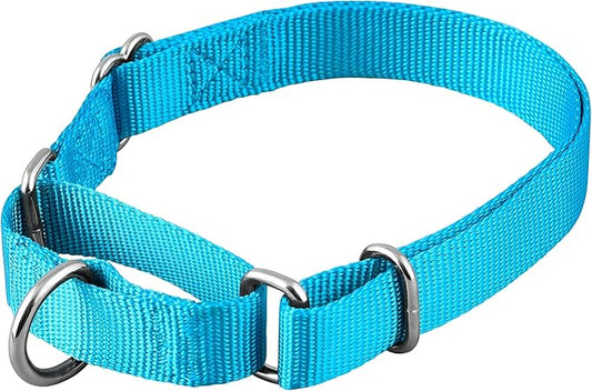 Native Pup Martingale Dog Collar, Adjustable by NativePup