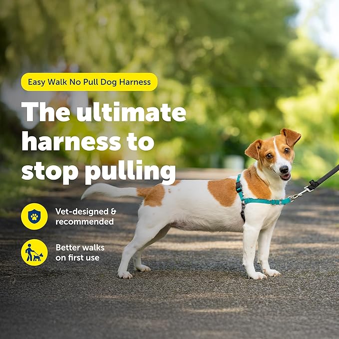 PetSafe Easy Walk No-Pull Dog Harness - Image 2