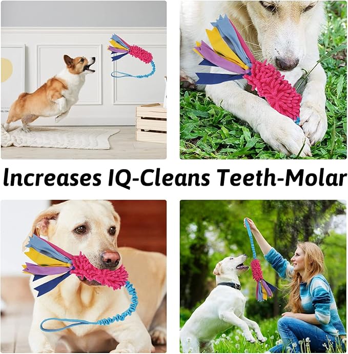 Wodoca Dog Tug Toy - Image 4