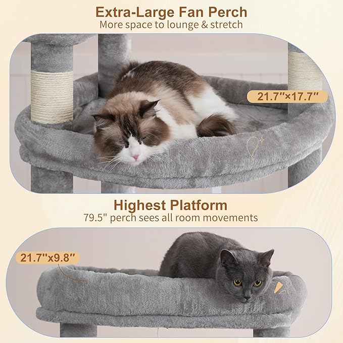 Heybly Tall Cat Tree for Large Cat, 80-inch Multi-Level Cat Tower for Indoor - Image 2
