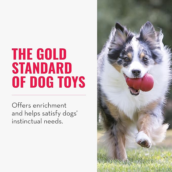 KONG Classic Stuffable Dog Toy - Image 4