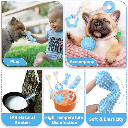 Petcare 6 Pack Puppy Chew Toys - Image 4