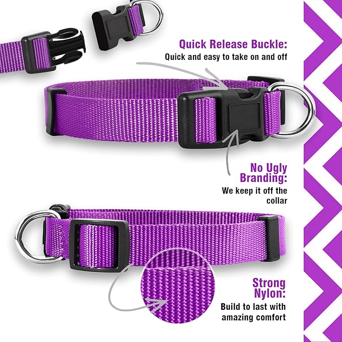 Native Pup Basic Nylon Dog Collar, Adjustable - Image 4