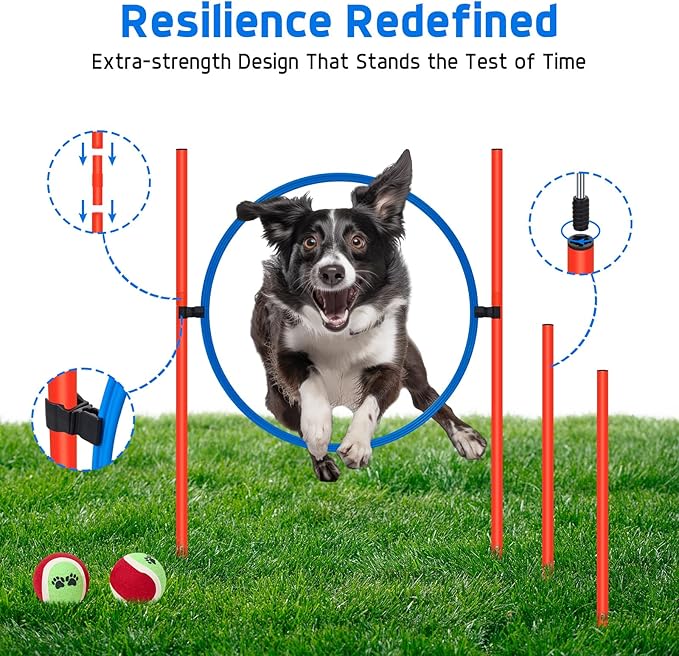 Polar Aurora Dog Agility Equipment, Dog Obstacle Courses Backyard - Image 4